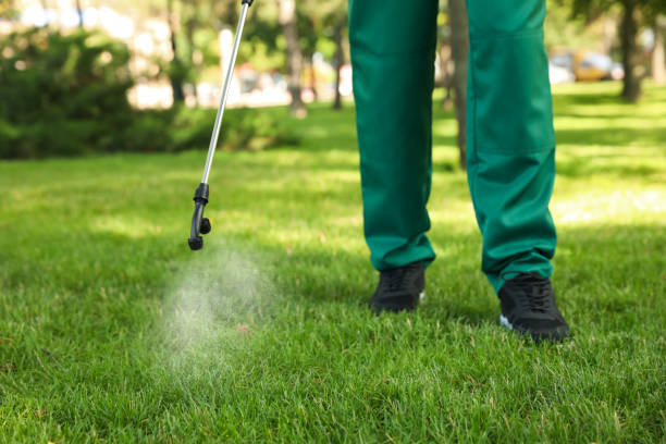 Best Bed Bug Extermination  in Jamestown, NY
