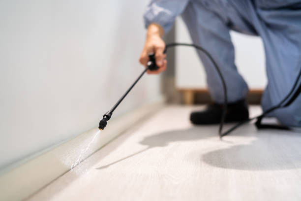 Pest Control for Restaurants in Jamestown, NY