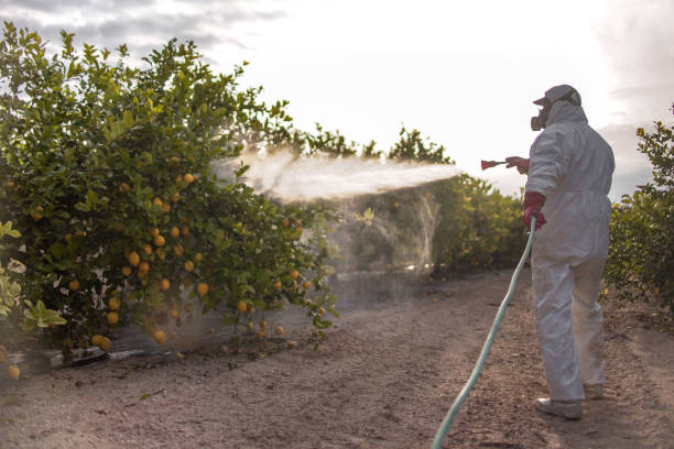 Best Affordable Pest Control Services  in Jamestown, NY